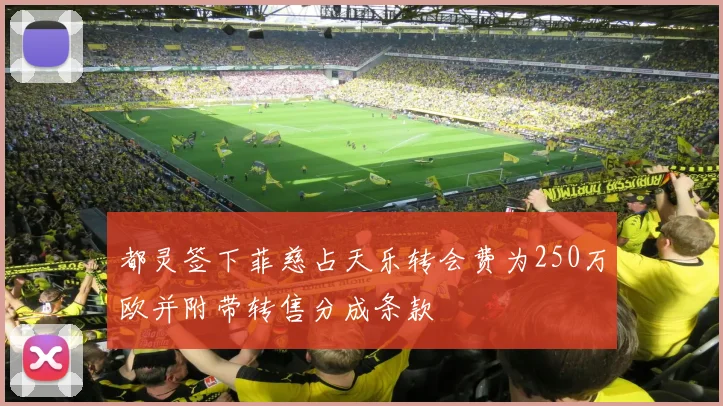 都灵签下菲慈占天乐转会费为250万欧并附带转售分成条款
