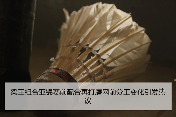 梁王组合亚锦赛前配合再打磨网前分工变化引发热议